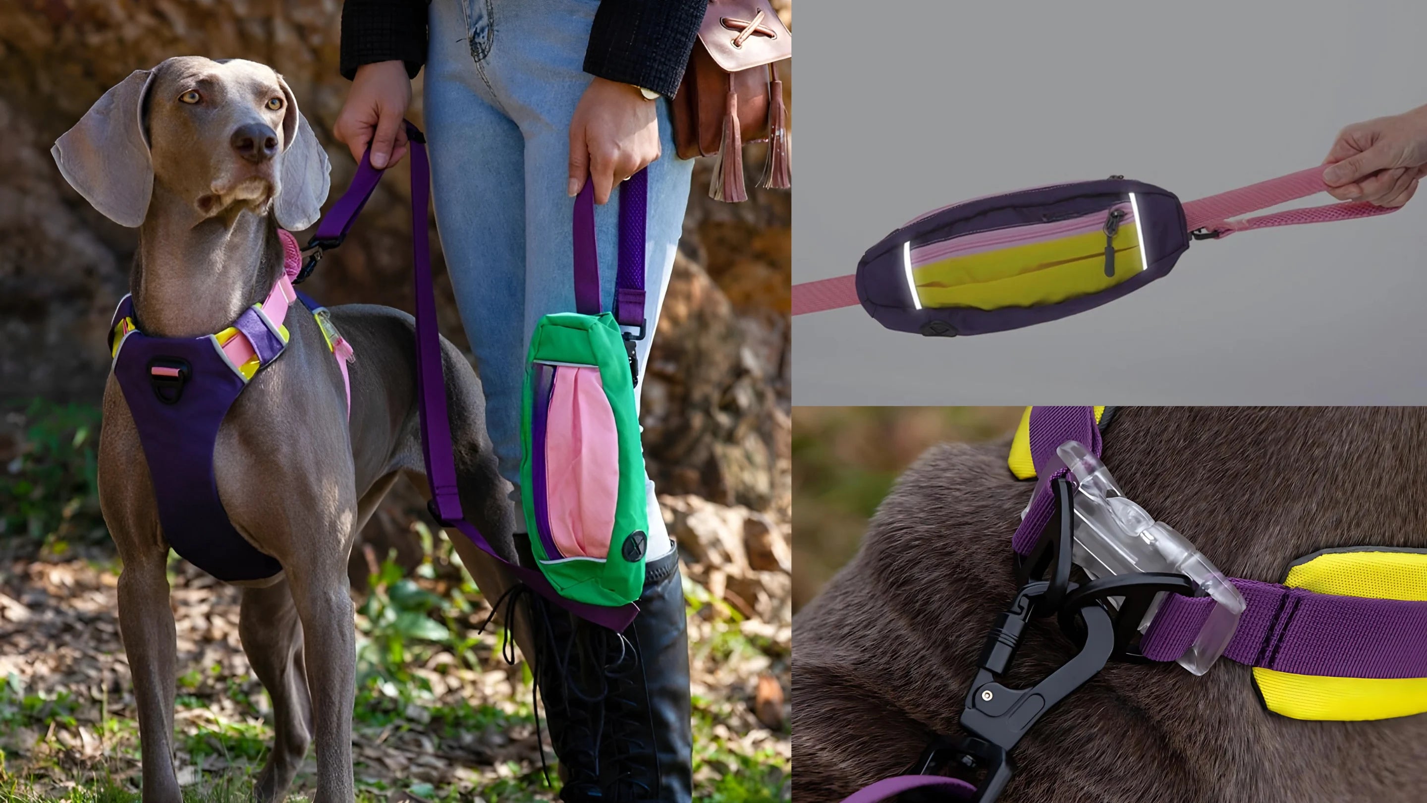 Outdoor Series  Adjustable Leash Product Image