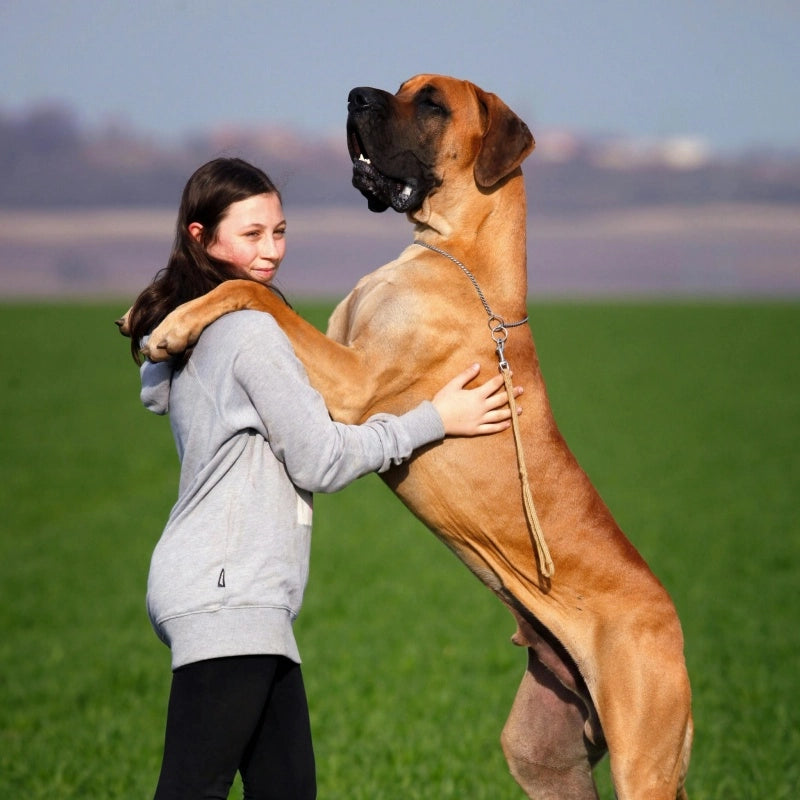 A female holding a medium-sized dog